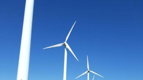 parque e&oacute;lico