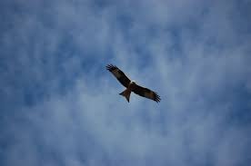 Córdoba a punto de entrar en la normalidad Córdoba a punto de entrar en la normalidad