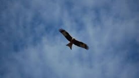 Vuelta a la normalidad