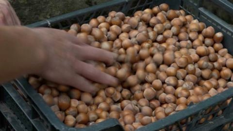 Una imagen del documental
