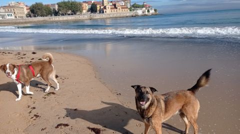 Playa de San Lorenzo