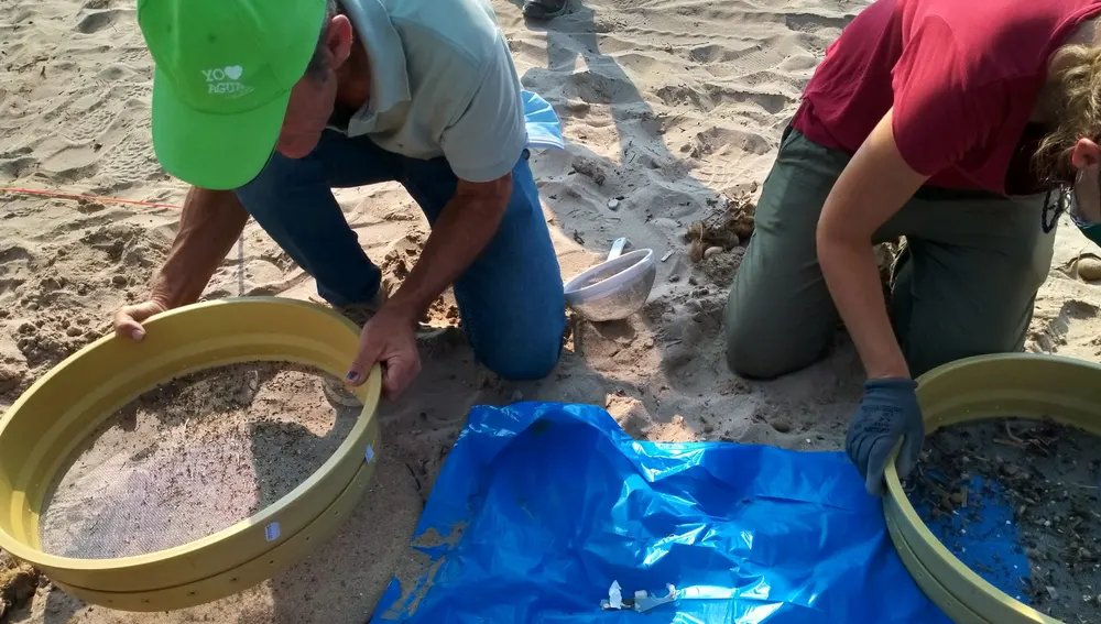Los microplásticos aparecen en el cribado de la arena 