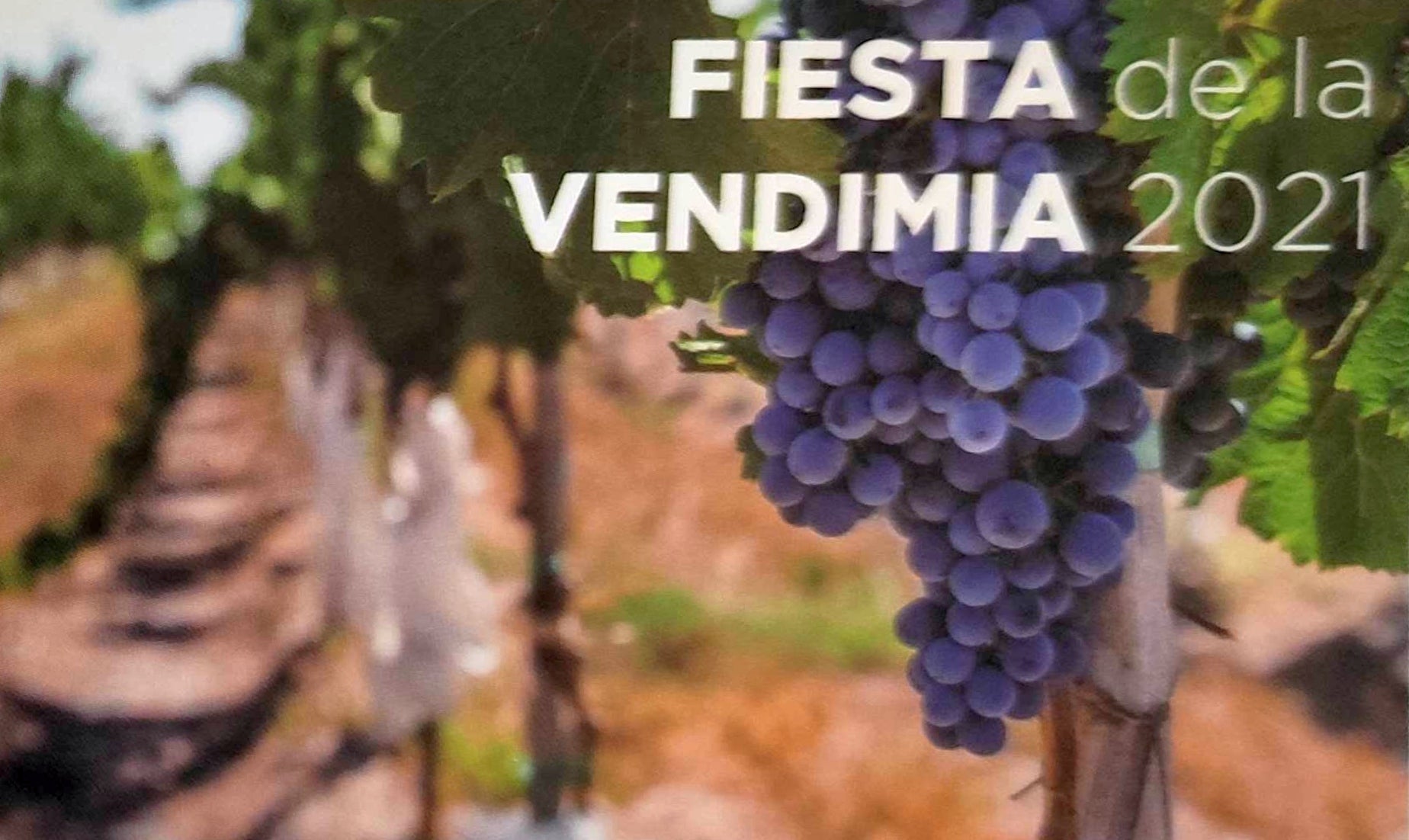 La Brújula de Asturias especial fiesta de la Vendimia en Cangas del Narcea La Brújula de Asturias especial fiesta de la Vendimia en Cangas del Narcea