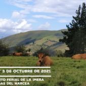 Cangas del Narcea acoge la XXXVI Muestra Ganadera Local de Asturiana de los Valles con 366 animales