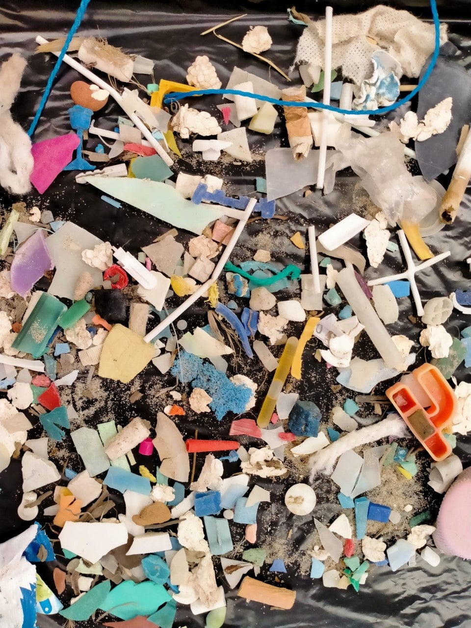 Recogen cientos de microplásticos en a penas dos metros cuadrados de playa Recogen cientos de microplásticos en a penas dos metros cuadrados de playa