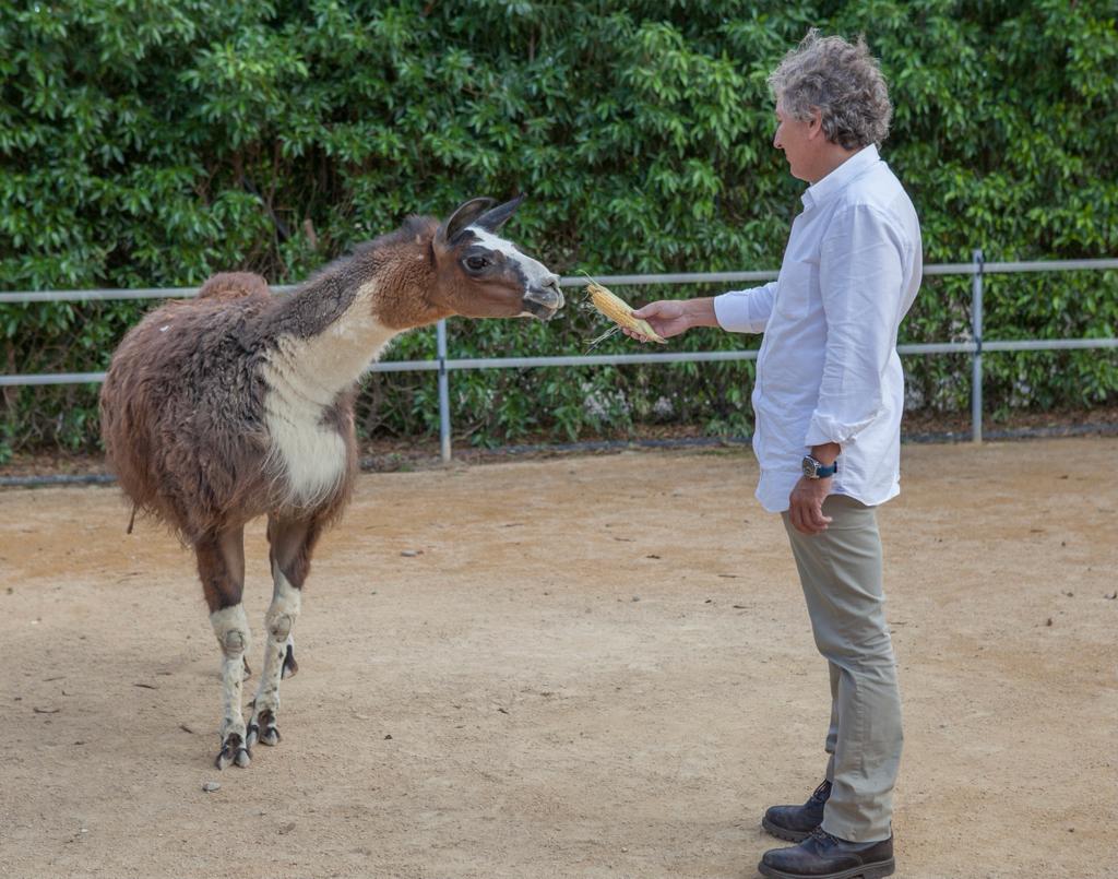 Raúl Mérida nos plantea un mundo en el que no se haga negocio con los animales y cuenten con verdadera protección legal Raúl Mérida nos plantea un mundo en el que no se haga negocio con los animales y cuenten con verdadera protección legal