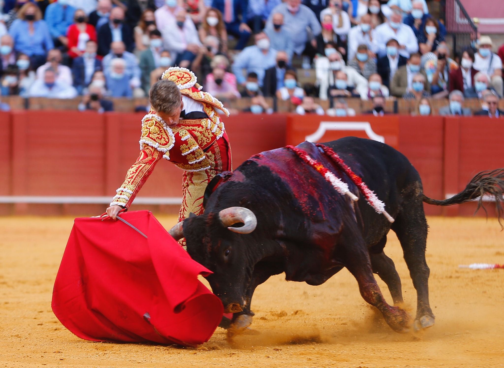 Onda Ruedo 4x04| Manuel Escribano: "Me preocupaba el maestro (Morante) porque te puede anular una tarde entera y para mí significaba mucho" Onda Ruedo 4x04| Manuel Escribano: "Me preocupaba el maestro (Morante) porque te puede anular una tarde entera y para mí significaba mucho"
