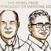Los científicos Julius y Patapoutian ganan el Nobel de Medicina por sus hallazgos de receptores de temperatura y tacto