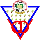 C. D. Valdepeñas C. D. Valdepeñas