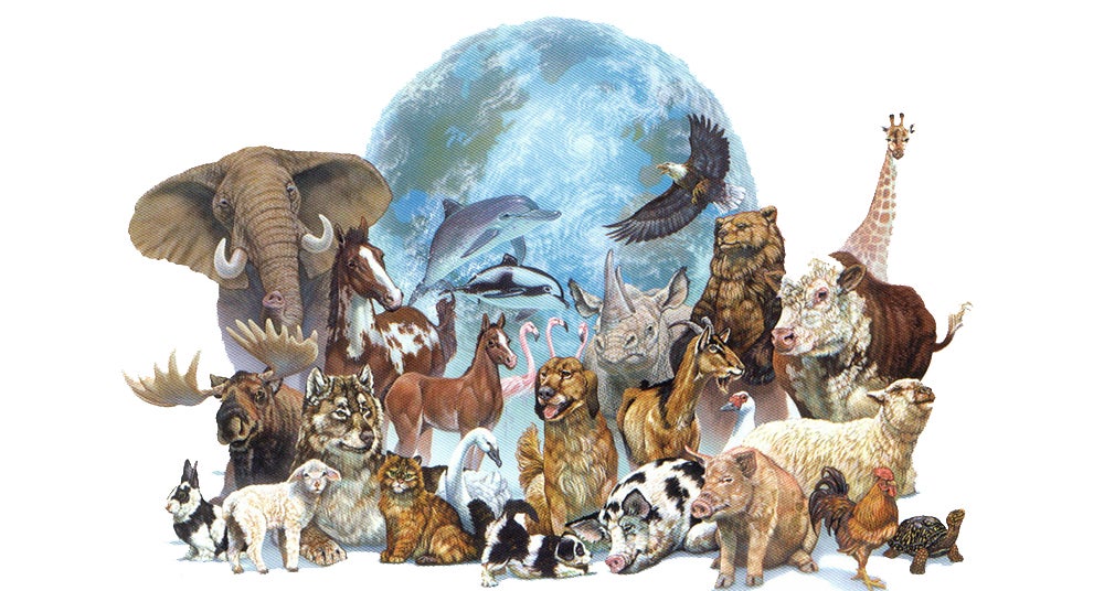 Promovido por la Organización Mundial de Protección Animal, objetivo frenar la extinción de muchas especies Promovido por la Organización Mundial de Protección Animal, objetivo frenar la extinción de muchas especies