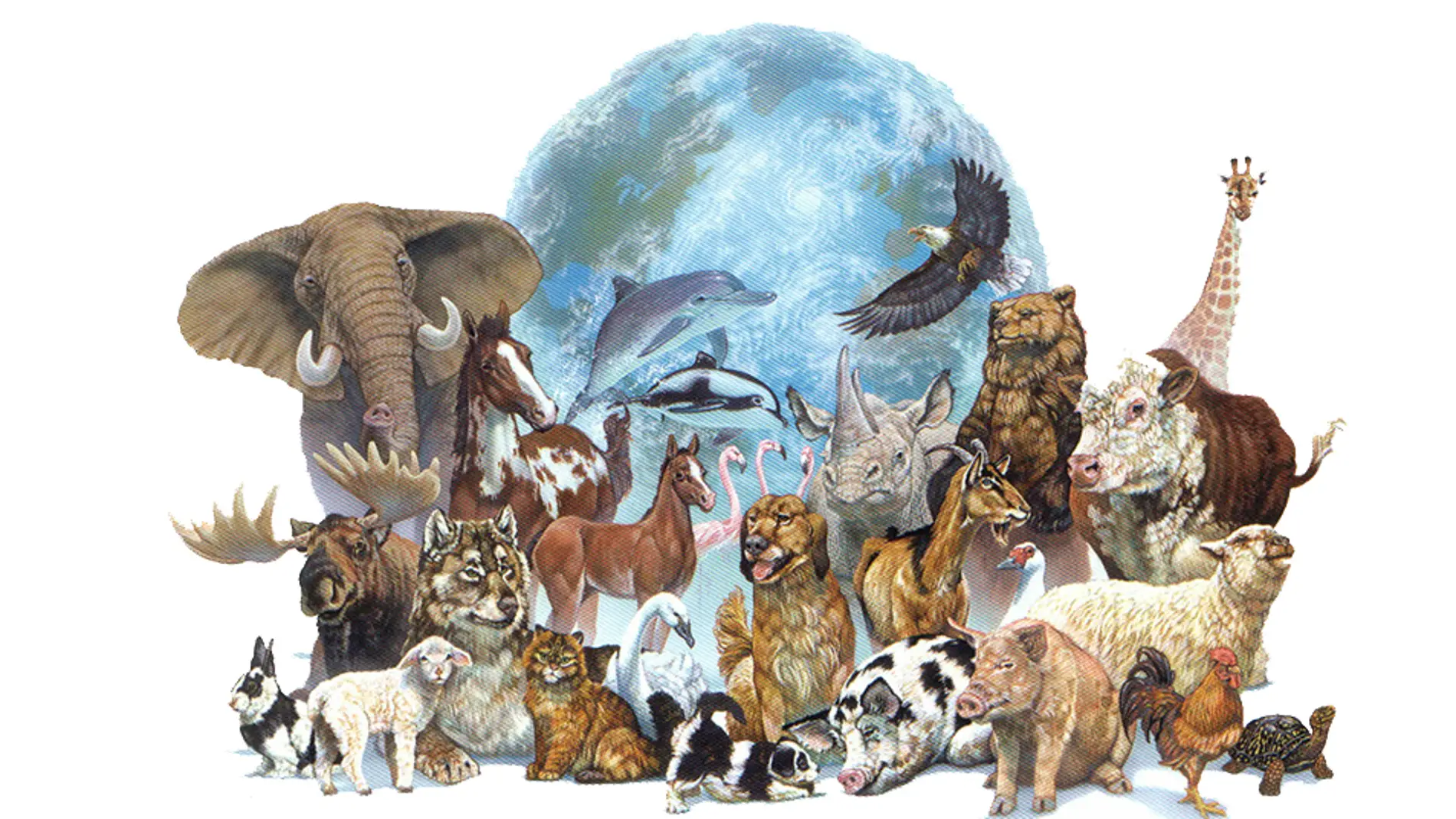 Promovido por la Organización Mundial de Protección Animal, objetivo frenar la extinción de muchas especies 