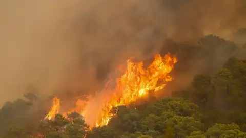 Incendio Sierra Bermeja Incendio Sierra Bermeja