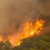 Incendio Sierra Bermeja Incendio Sierra Bermeja