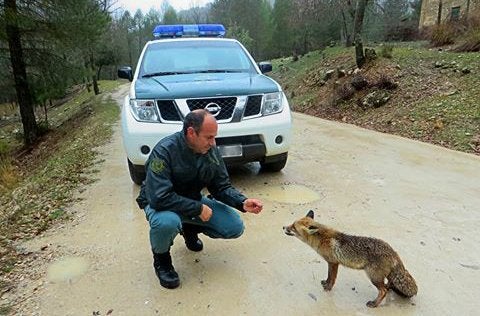 SEPRONA: "El cambio climático es el gran desafío socioeconómico del siglo XXI" SEPRONA: "El cambio climático es el gran desafío socioeconómico del siglo XXI"