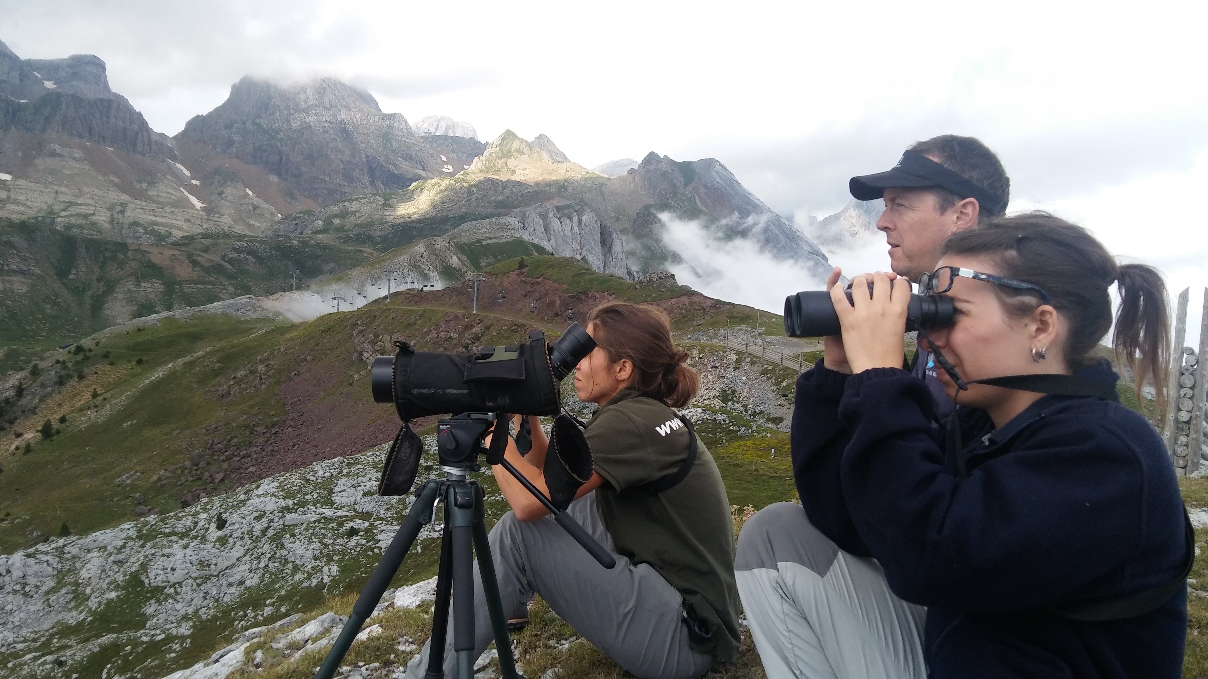 El turismo ornitológico ayuda a la conservación de las aves El turismo ornitológico ayuda a la conservación de las aves