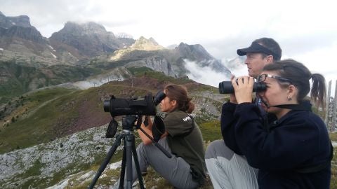 Observación de aves con Birding Aragón