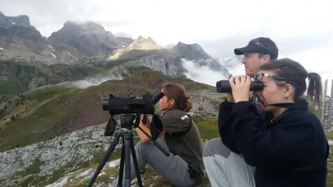 Observación de aves con Birding Aragón Observación de aves con Birding Aragón