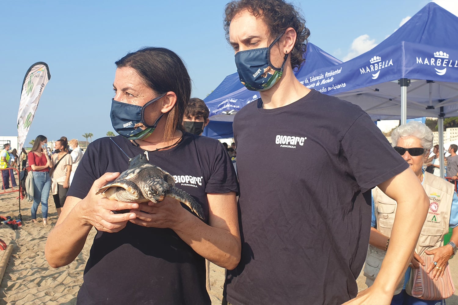 Las tortugas boba incubadas en Bioparc Fuengirola vuelven al mar Las tortugas boba incubadas en Bioparc Fuengirola vuelven al mar