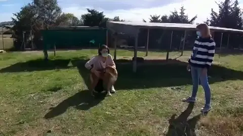 Un perro corriendo en el refugio de animales Un perro corriendo en el refugio de animales