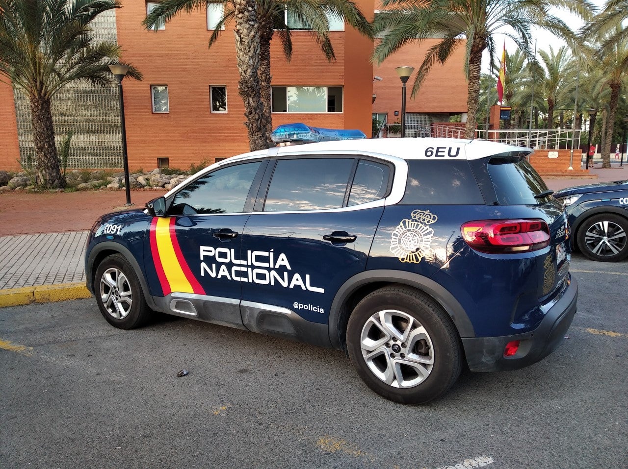 La Policía Nacional detiene en Elche a dos hombres por el cultivo de más de 1200 plantas de marihuana en el interior de una casa de campo La Policía Nacional detiene en Elche a dos hombres por el cultivo de más de 1200 plantas de marihuana en el interior de una casa de campo