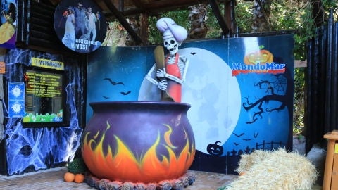 Del 9 de Octubre al 1 de Noviembre MundoMar se viste de Halloween.