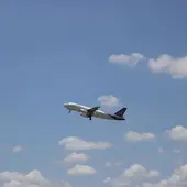 Reino Unido permite viajar sin cuarentena ni PCR negativa Reino Unido permite viajar sin cuarentena ni PCR negativa