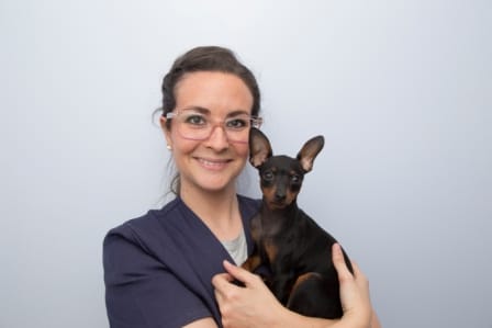 La bienvenida a nuestros perros La bienvenida a nuestros perros