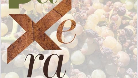 Paxera