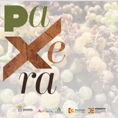 Paxera Paxera
