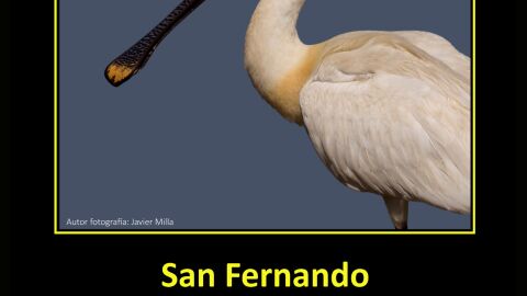 Cartel del evento que se celebrar&aacute; en San Fernandio