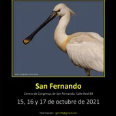 Cartel del evento que se celebrará en San Fernandio Cartel del evento que se celebrará en San Fernandio