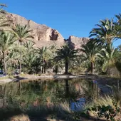 El Ayuntamiento firma un convenio con Hidraqua para la rehabilitación de la balsa de riego tradicional del Palmeral de Orihuela El Ayuntamiento firma un convenio con Hidraqua para la rehabilitación de la balsa de riego tradicional del Palmeral de Orihuela