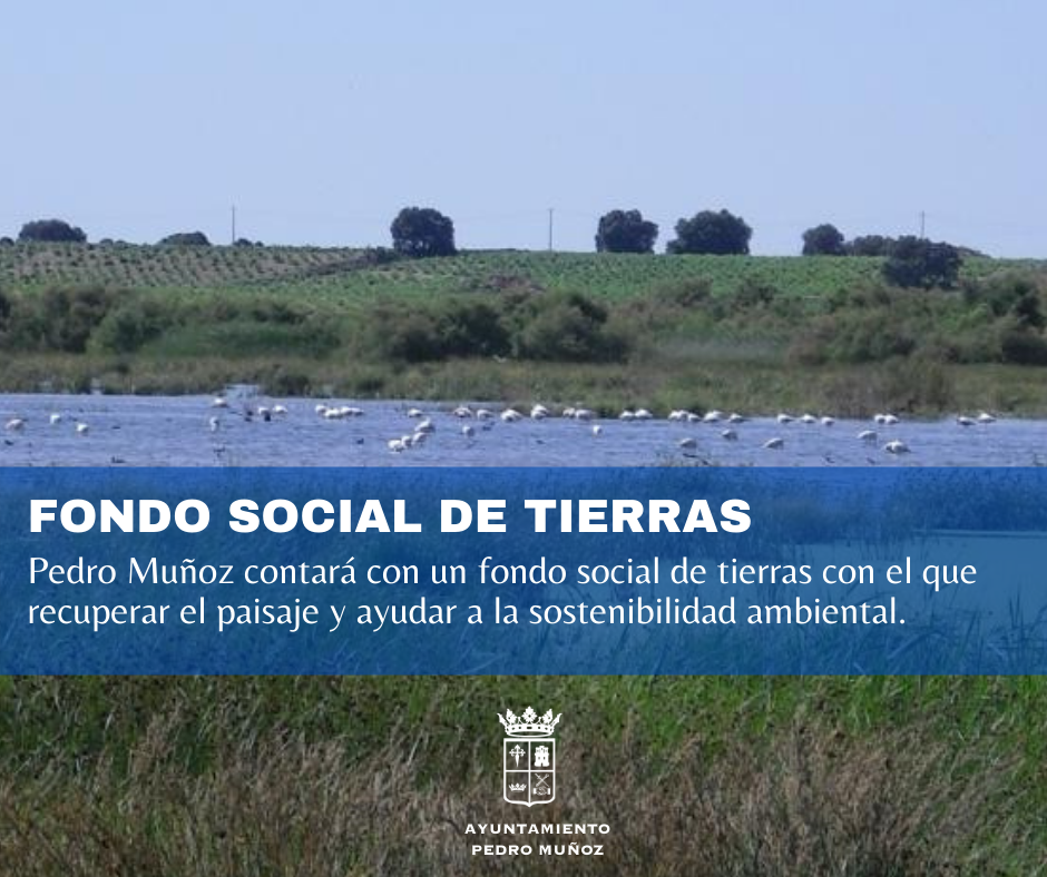 Pedro Muñoz contará con un fondo social de tierras con el que recuperar el paisaje y ayudar a la sostenibilidad ambiental Pedro Muñoz contará con un fondo social de tierras con el que recuperar el paisaje y ayudar a la sostenibilidad ambiental