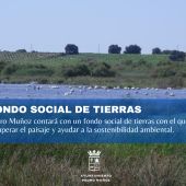 Pedro Muñoz contará con un fondo social de tierras con el que recuperar el paisaje y ayudar a la sostenibilidad ambiental
