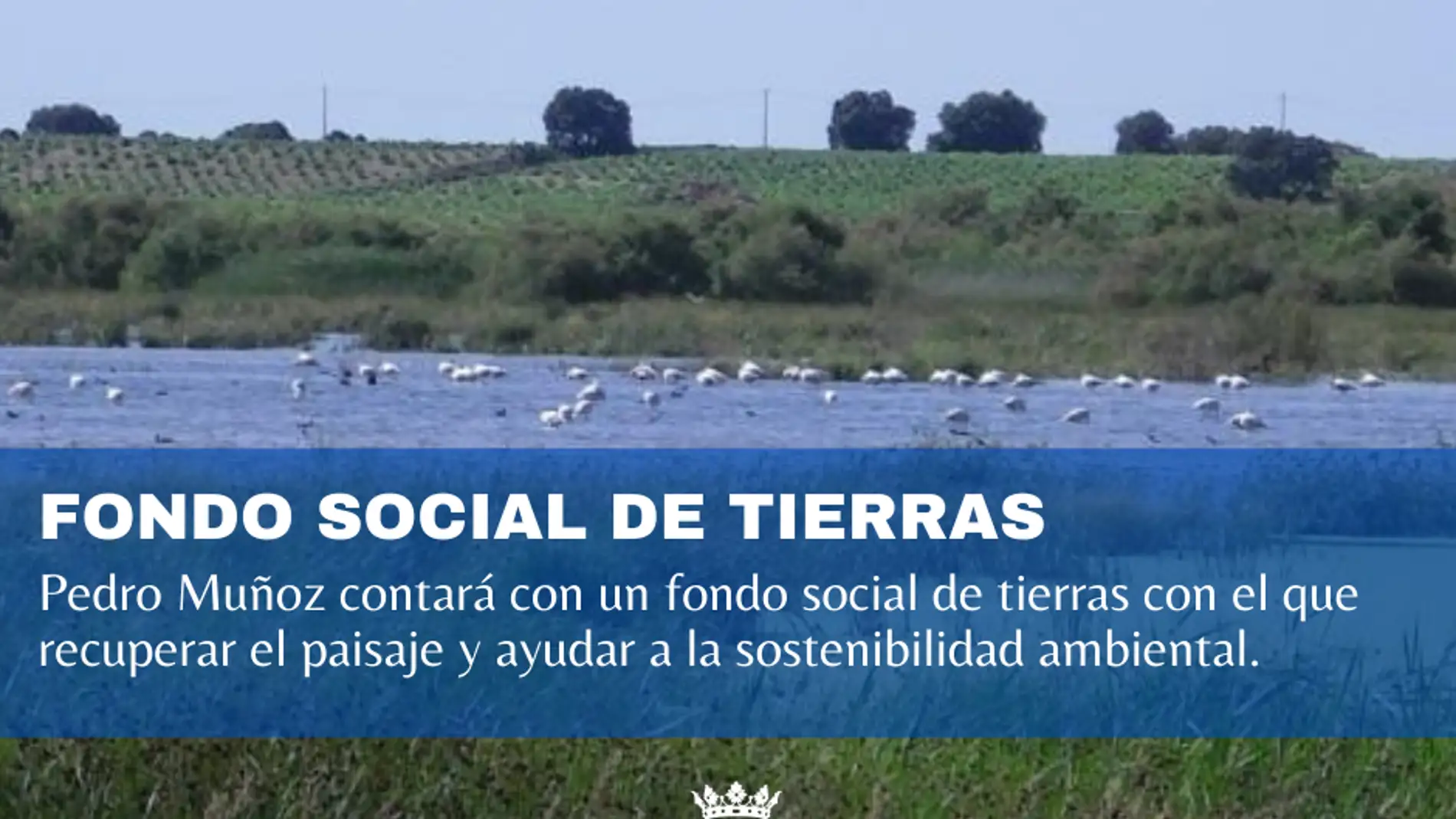 Pedro Muñoz contará con un fondo social de tierras con el que recuperar el paisaje y ayudar a la sostenibilidad ambiental