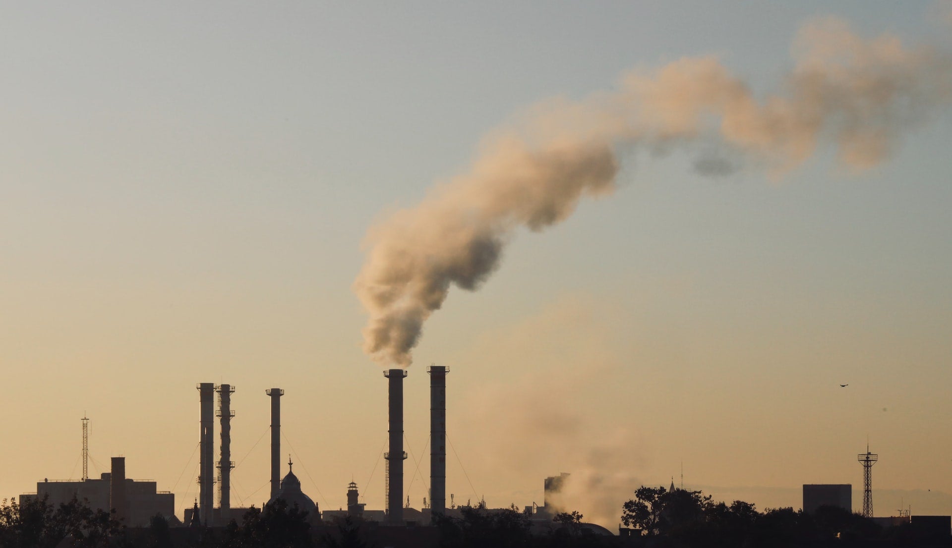 València se suma este sábado a la movilización mundial por el clima València se suma este sábado a la movilización mundial por el clima