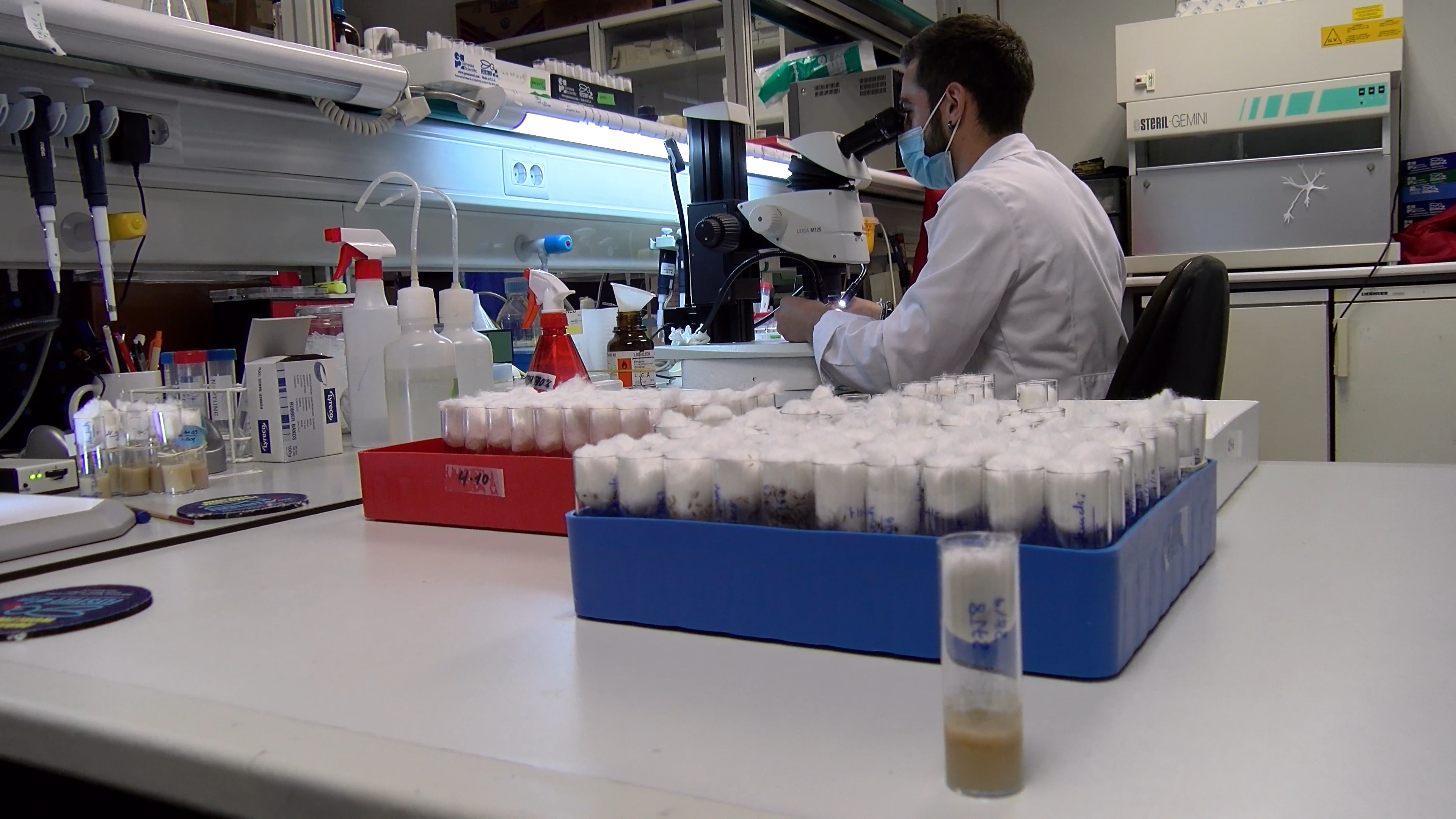 Más de Uno Gijón 26/11/2021 Más de Uno Gijón 26/11/2021