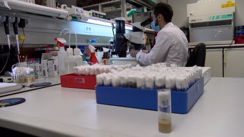 Uno de los investigadores que ha participado en el estudio trabajando en el laboratorio.