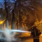 Un bombero en las labores de extinción del incendio provocado en la noche del pasado 10 de octubre en el Parque Municipal de Elche.