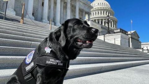 Lila en el Capitolio