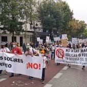 Participación de la plataforma PDPIRINEO en la manifestación de Madrid