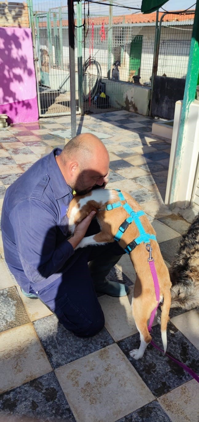 Sirio por fin está con su familia Sirio por fin está con su familia