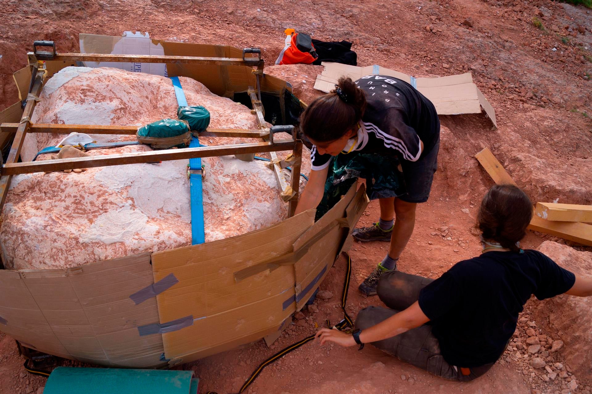 Extraen un nido con al menos 12 huevos de dinosaurio en Loarre Extraen un nido con al menos 12 huevos de dinosaurio en Loarre