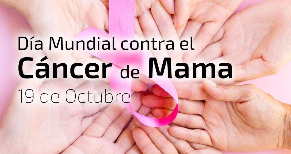 La Asociación vuelve a “sacar pecho” contra la vulnerabilidad que genera el cáncer de mama La Asociación vuelve a “sacar pecho” contra la vulnerabilidad que genera el cáncer de mama