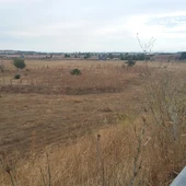 Terrenos del Polígono Industrial "Oretania" de Ciudad Real Terrenos del Polígono Industrial "Oretania" de Ciudad Real