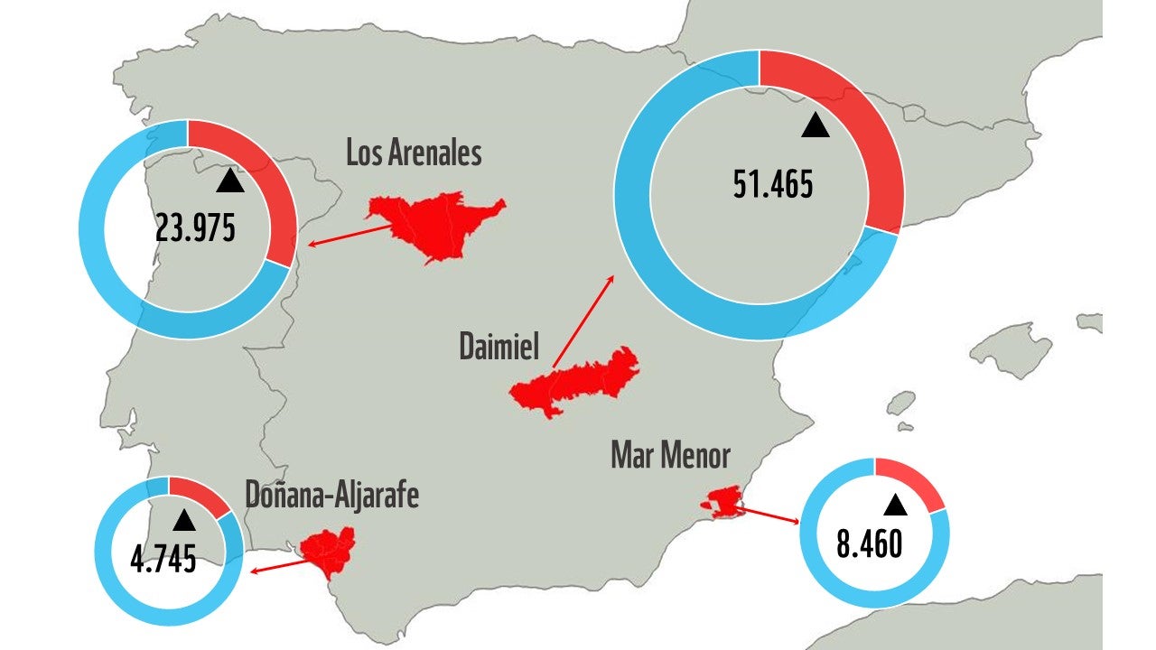 WWF concluye que en el entorno del Mar Menor se riega con agua extraída ilegalmente el equivalente a 10.200 campos de futbol WWF concluye que en el entorno del Mar Menor se riega con agua extraída ilegalmente el equivalente a 10.200 campos de futbol