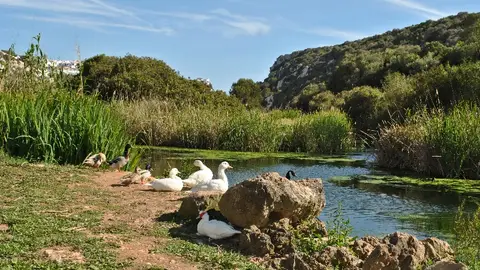 Imagen de la Reserva de Biosfera de Menorca. 