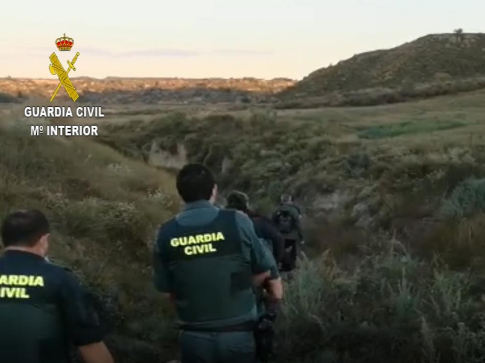 Desmantelada la mayor plantación de marihuana en la provincia Desmantelada la mayor plantación de marihuana en la provincia