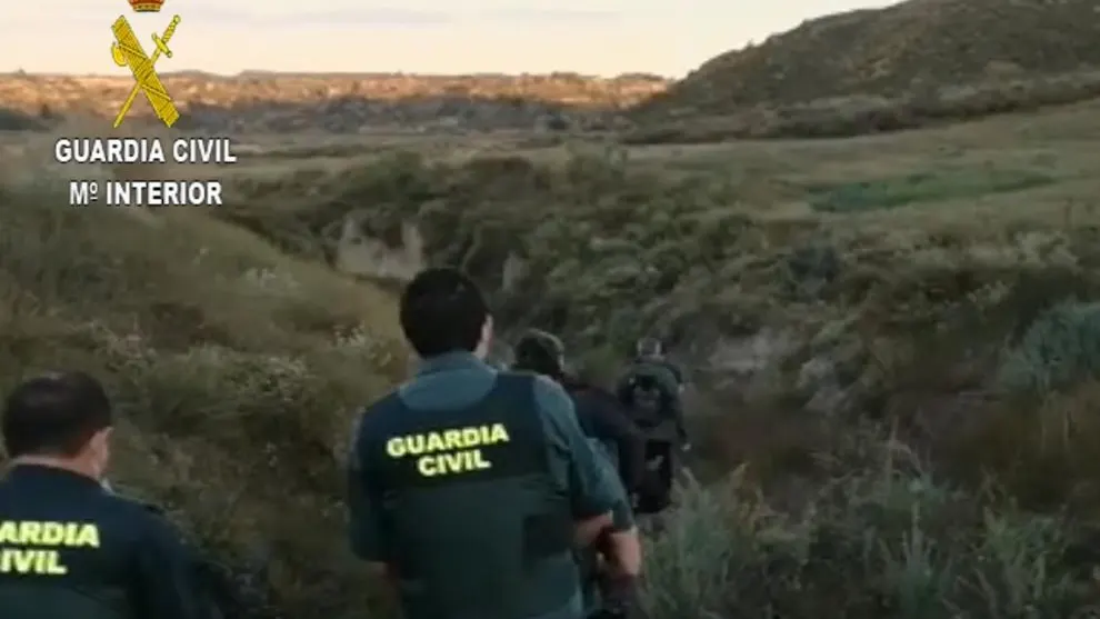 La plantación fue localizada en una zona de difícil acceso en el Somontano. La plantación fue localizada en una zona de difícil acceso en el Somontano.
