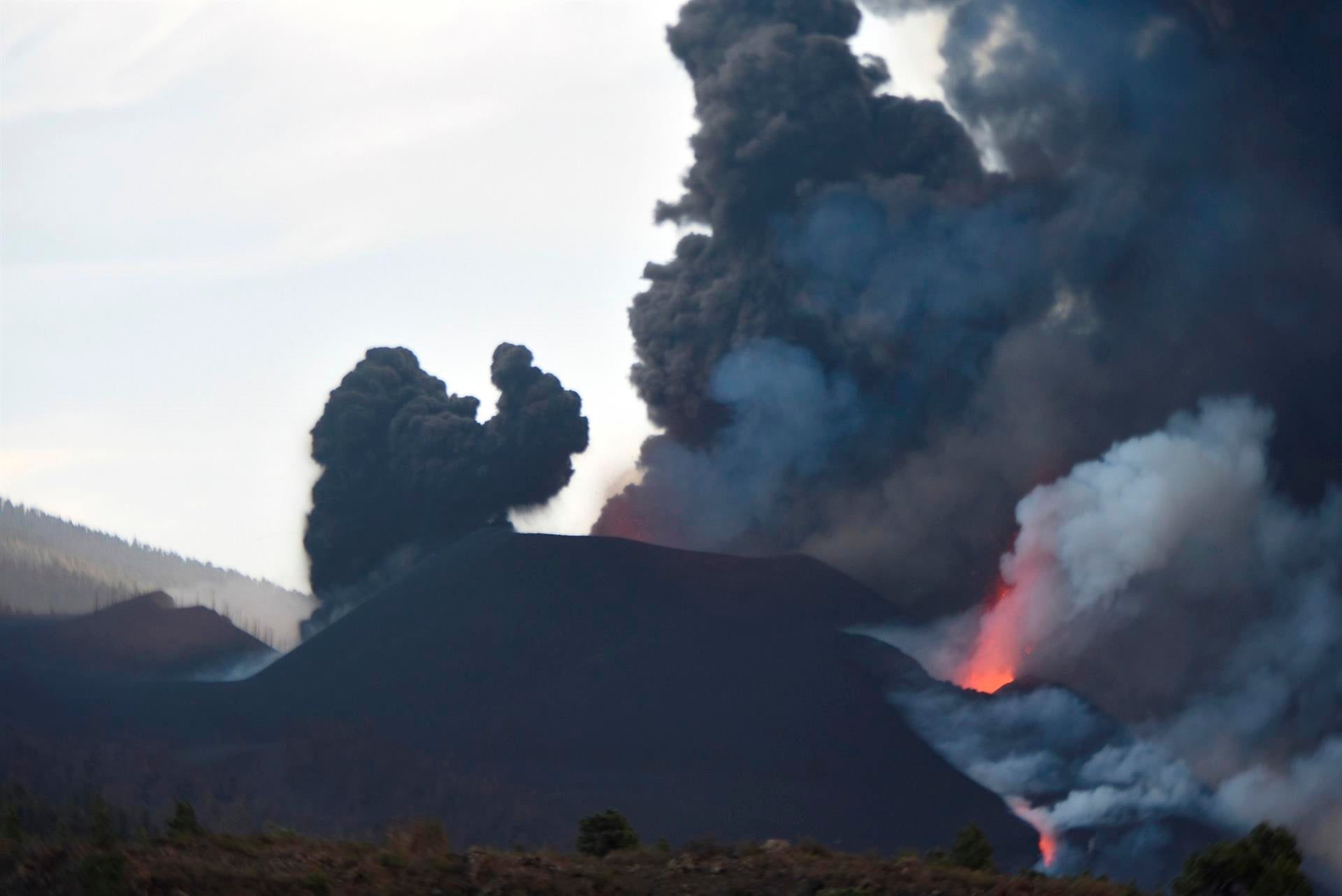 Un terremoto de 4,8, la máxima magnitud registrada, se deja sentir en toda La Palma y parte de Tenerife Un terremoto de 4,8, la máxima magnitud registrada, se deja sentir en toda La Palma y parte de Tenerife